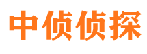 大新出轨调查